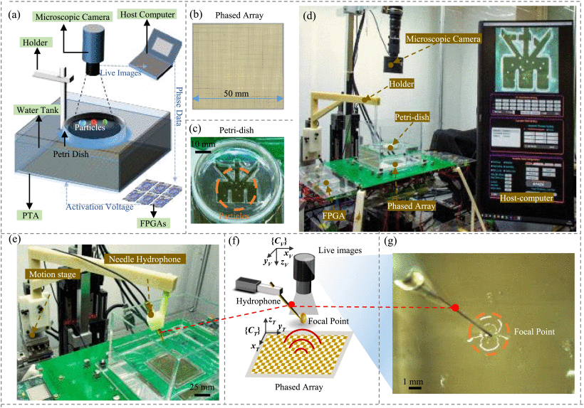 Automated Acoustic Manipulation System