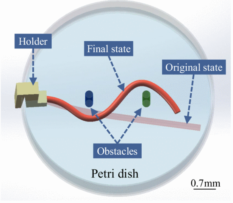 In-Plane Manipulation of Soft Micro-Fiber